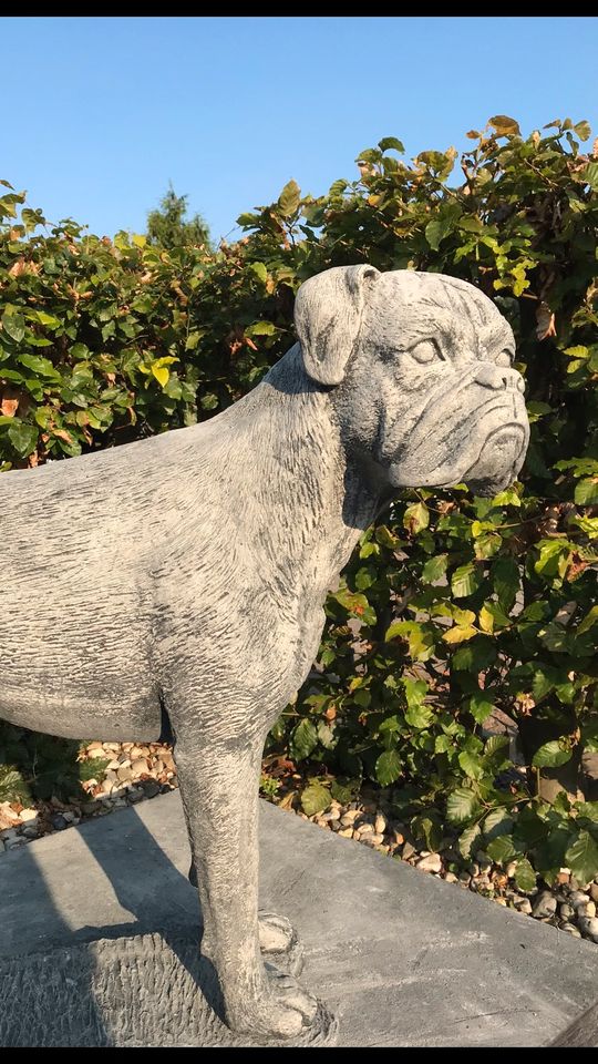 Boxer Lebensgroß 120kg 75cm Hund Steinguss Rüde Welpe Steinfigur in Nürnberg (Mittelfr)