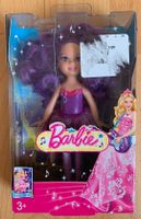 Barbie Die Prinzessin und der Popstar Mattel 2011 Chelsea Fee☀️ Bayern - Niederwerrn Vorschau