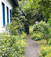 Mietgesuch: Wohnung oder Häuschen mit Garten Baden-Württemberg - Staufen im Breisgau Vorschau