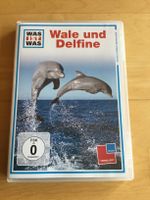 DVD / WAS IST WAS - Wale und Delfine Baden-Württemberg - Kürnbach Vorschau