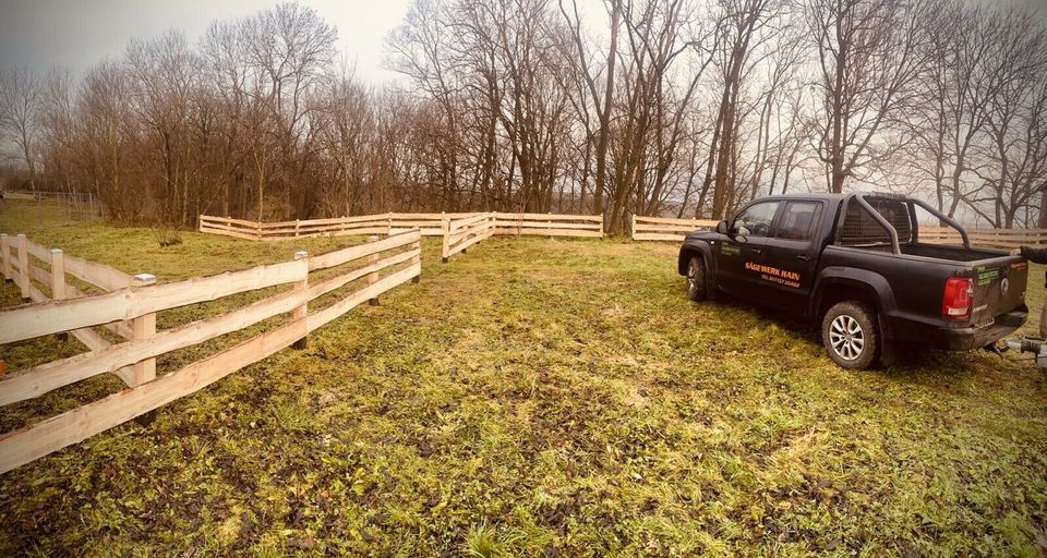 Ranchzaun Pferdekoppel Bonanzazaun Schwartenbretter Rangerzaun in Langenwetzendorf