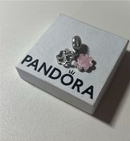 Charm für Pandora Armbänder Hessen - Reichelsheim (Odenwald) Vorschau