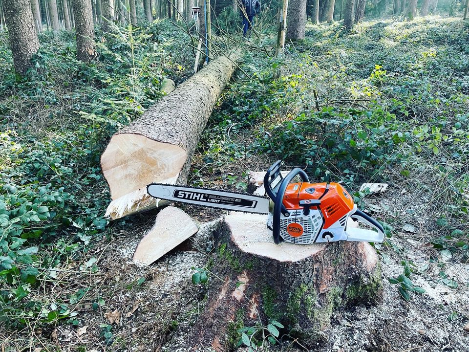 Problembaumfällung Forstservice Gartenservice Baumfällung in Leiblfing