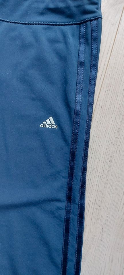 ADIDAS Damen 3/4 Hose/Tight blau Gr.S/36 in Flensburg