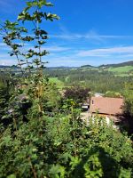 Einfamilienhaus in Panoramalage mit Blick  auf die Nagelfluh-Bergkette in 88179 Oberreute Bayern - Oberreute Vorschau