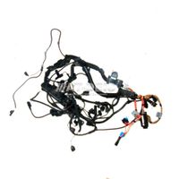 BMW E60 E61 5er M57N Kabelbaum Motormodul Injektormodul 7796845 4 Niedersachsen - Laatzen Vorschau