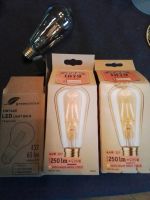 Paulmann Gold LED Light 1879 Classic Edition Vintage Rustikal E27 Nordrhein-Westfalen - Castrop-Rauxel Vorschau