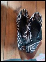 Ballerina Zebra Sachsen - Thiendorf Vorschau