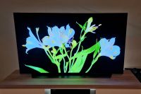 Lg TV OLED55C17LB 55 Zoll Oled 55C1 Rheinland-Pfalz - Auw bei Prüm Vorschau