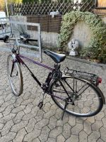 Trek Tourenrad 19 Zoll Rahmen-Höhe 48cm Rheinland-Pfalz - Kamp-Bornhofen Vorschau