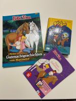 Bibbi und Tina Bücher Niedersachsen - Lengede Vorschau