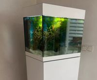 Aquarium mit Schrank (komplett Set) Oase Styleline85 wie neu Bayern - Neumarkt i.d.OPf. Vorschau