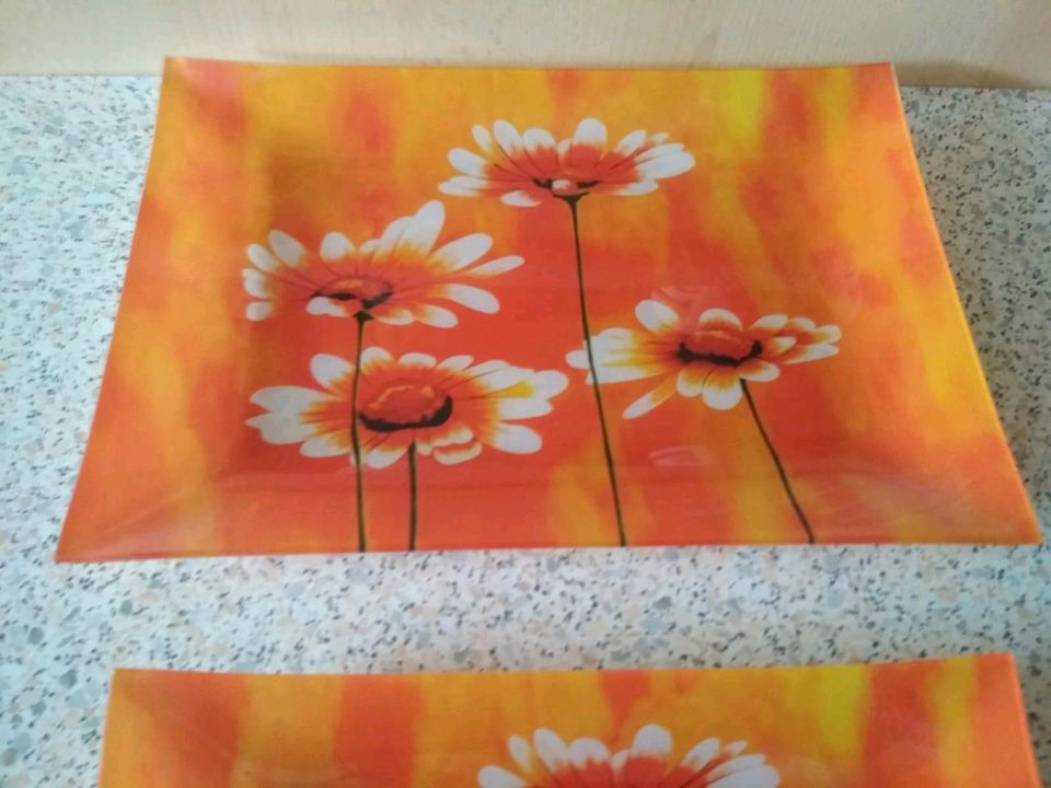 3er Set Servierplatten aus Glas mit Blumenmotiv in Otzberg