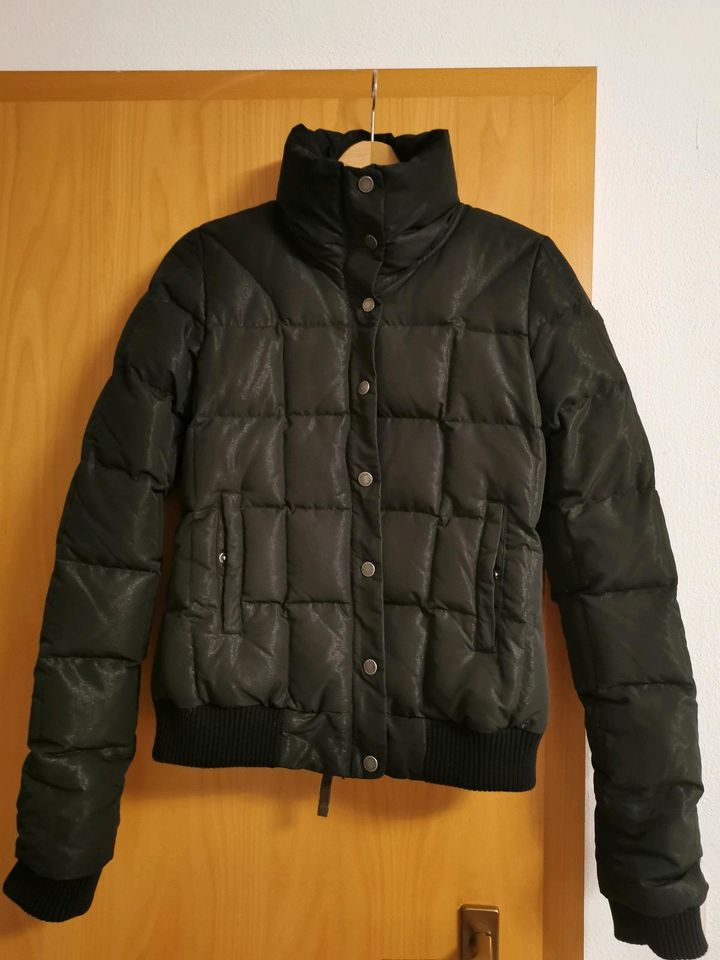 Damen Winterjacke Adidas Gr. 38 in Neumarkt i.d.OPf.