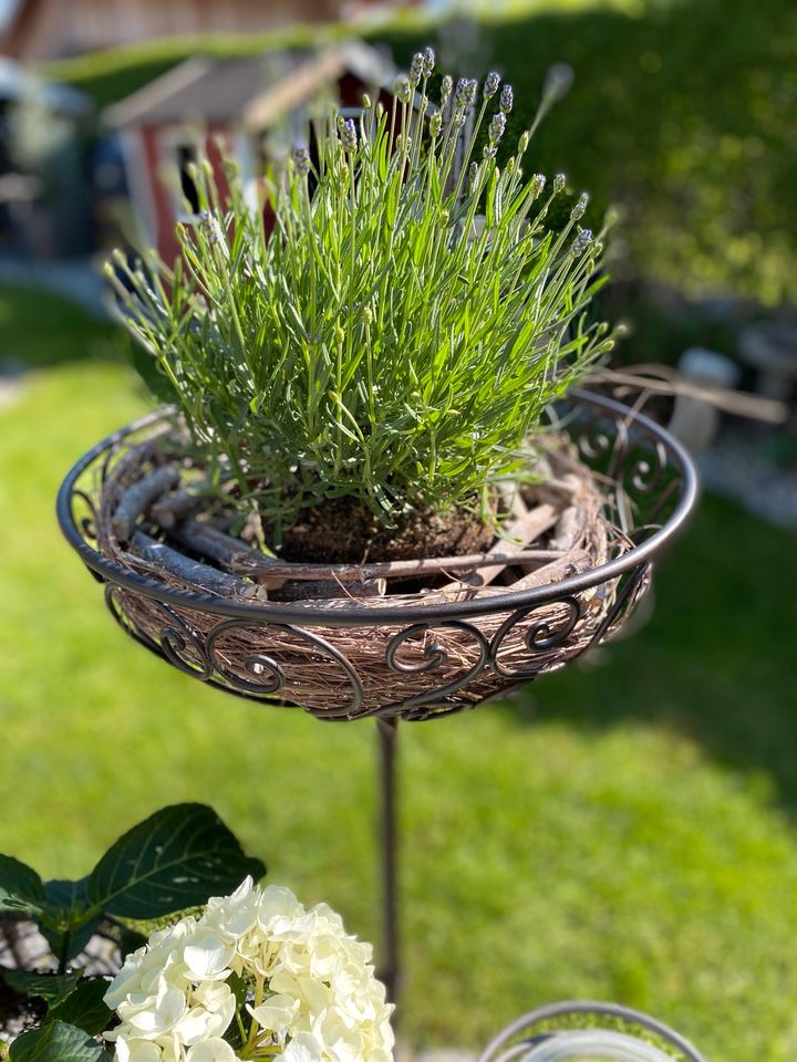 Gartenstab Korb Garten Dekoration Eisen groß SCHÖN LEBEN in Waldkraiburg