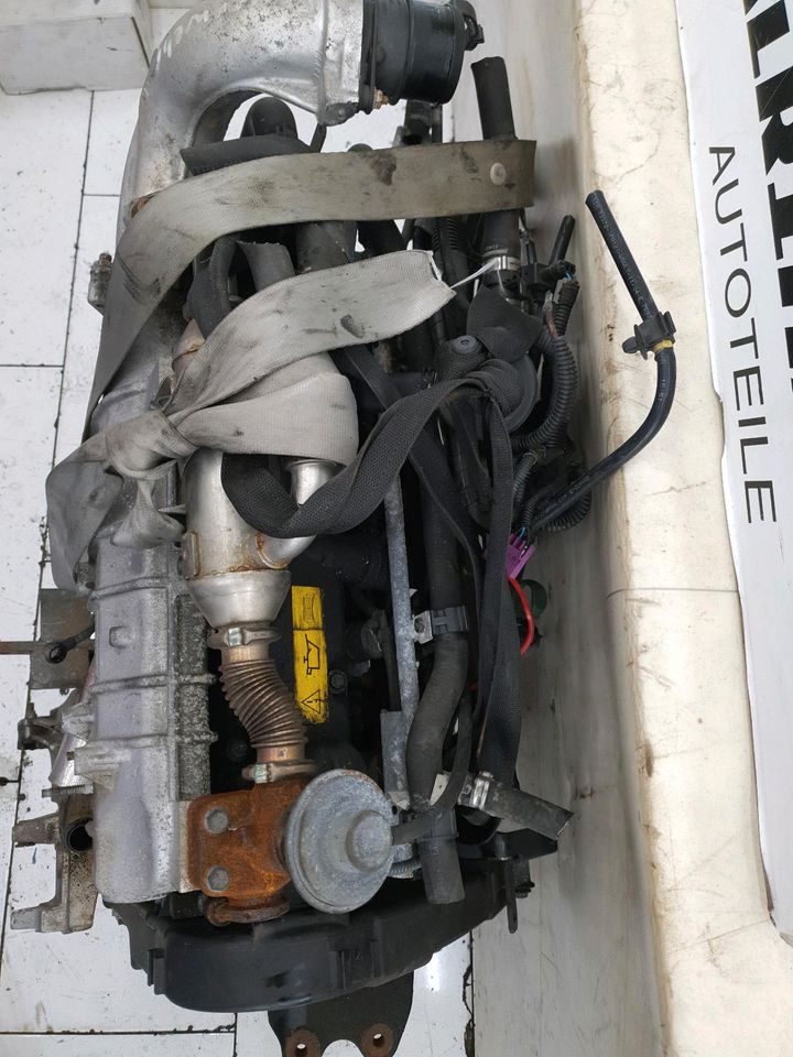 Motor RHV 2.0JTD HDI 84PS FIAT DUCATO PEUGEOT BOXER 02-06 in Remscheid