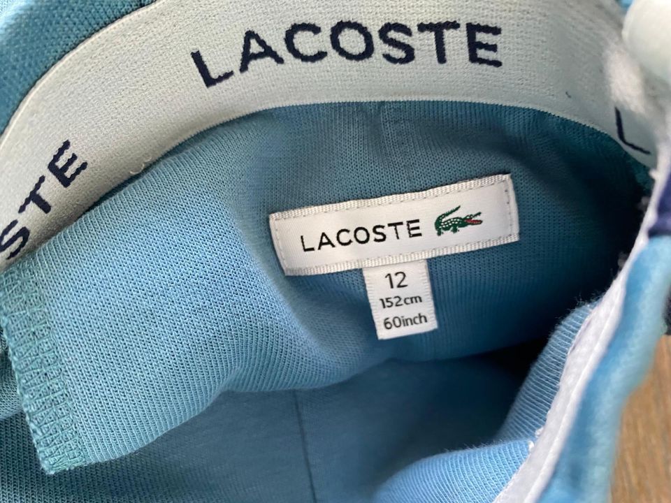 Lacoste Trainingshose Hose Jogginghose 152 blau in Oberndorf am Neckar