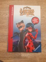 Ladybug und Catnoir der Film Niedersachsen - Burgdorf Vorschau