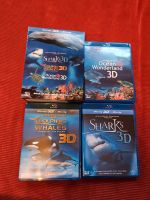 Blu-ray Jean-Michel Cousteau Sharks Ocean Wonderland Dolphin Whal Niedersachsen - Bückeburg Vorschau