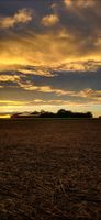 Ausbildungsplatz Landwirtschaft, Landwirt Hessen - Groß-Umstadt Vorschau