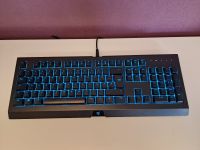 RGB Gaming Tastatur - Razer Cynosa Chroma Sachsen - Plauen Vorschau