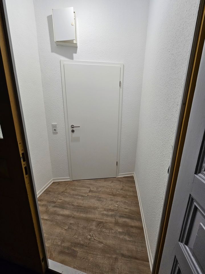 Renovierte 1-Zimmer Wohnung mit Balkon in Chemnitz