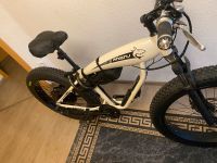 Shopper E-Bike Rheinland-Pfalz - Ludwigshafen Vorschau