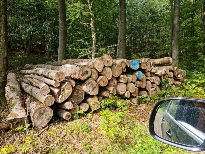 Stammholz Buche Brennholz ■Sonderposten■ inkl Lieferung frei Hof in Aschaffenburg