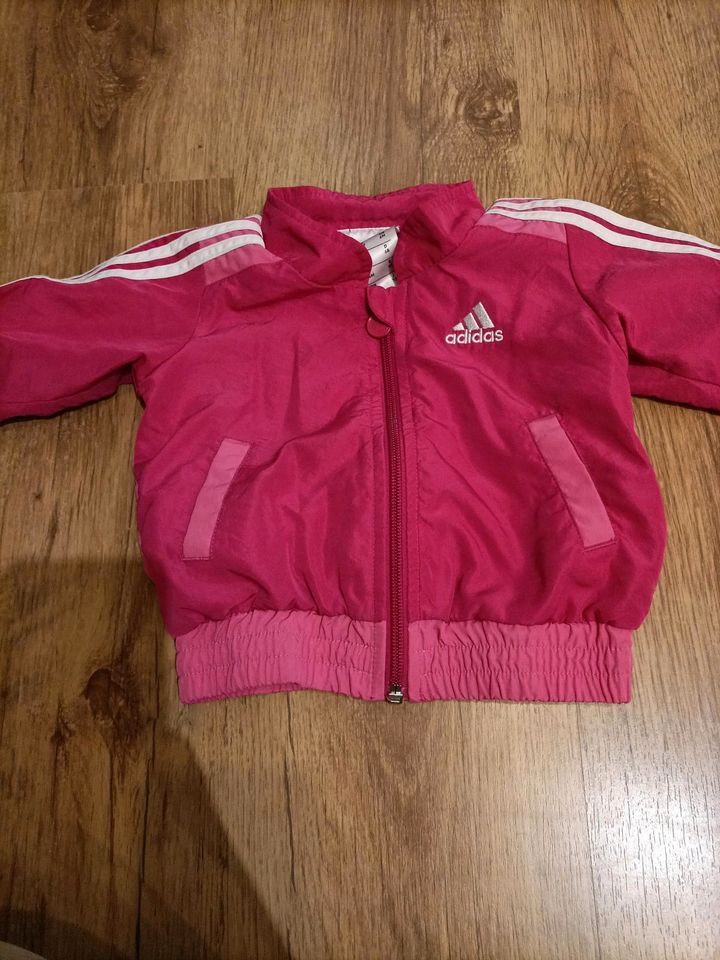 Adidas Kleinkind Jacke in Tacherting