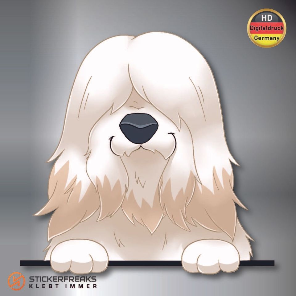 Bearded Collie Aufkleber Sticker 8x8cm Hütehund Schäfer Hund in Weiden (Oberpfalz)