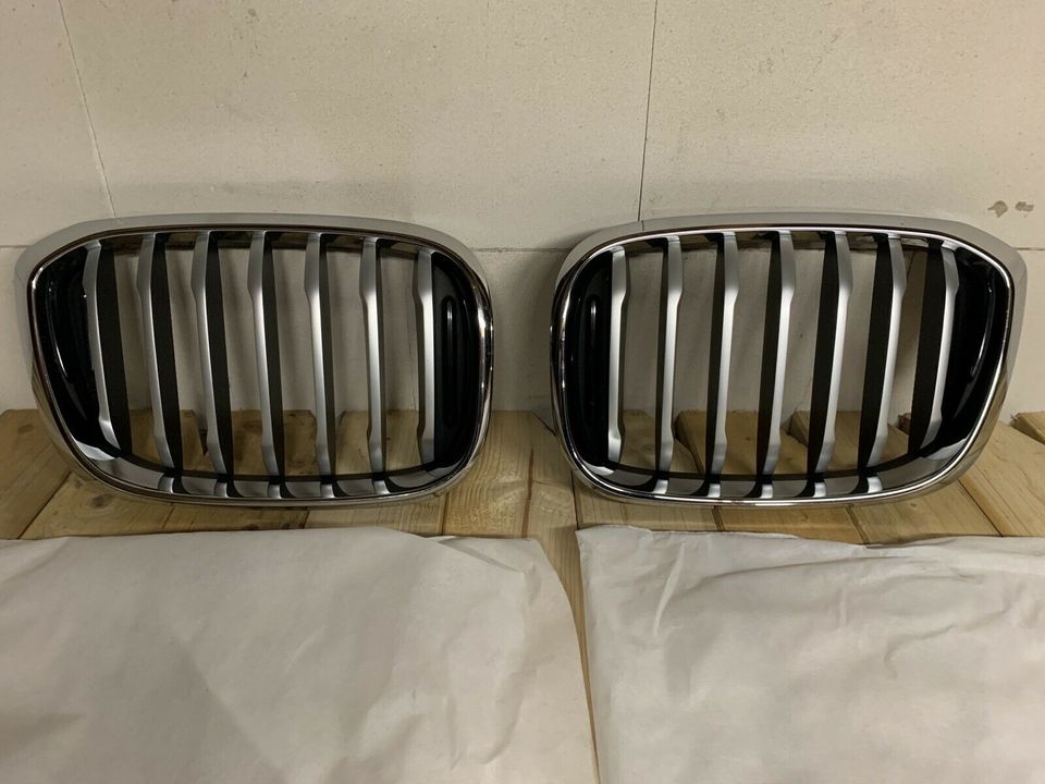 Originale BMW Kühlergrill Verkleidung für BMW X3 in Issum