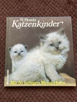 Schöner Bildband über Katzenkinder. Bayern - Helmbrechts Vorschau