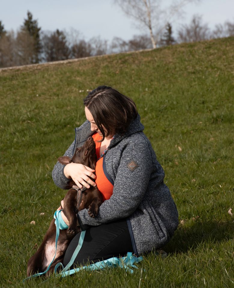 Dobby, verschmuster Dackel Mix, ca. 1 Jahr *Tierschutz* in Siegsdorf