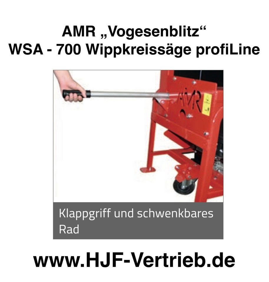 ⚠️ AMR Vogesenblitz® WSA-700 P, Kreissäge mit Wippe, Wippsäge in Much