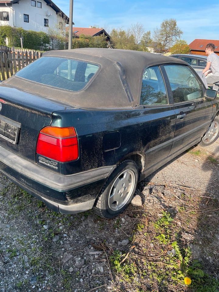 Volkswagen Golf 3 Cabrio 1.6 in Traunstein