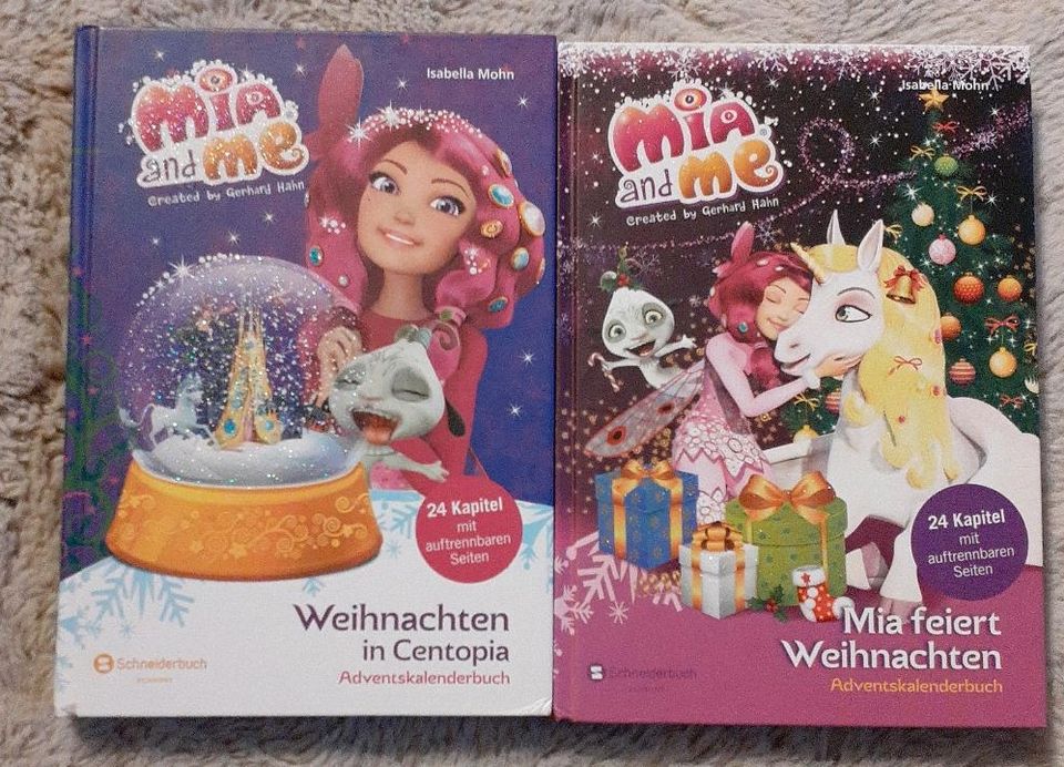 Mia and me Adventkalenderbuch in Mehlbach