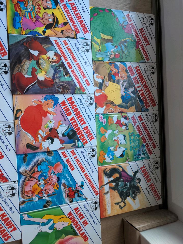 Riesige Walt Disney Bücher Sammlung in Volkmarsen