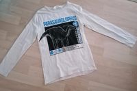 *neu* Langarmshirt Dinosaurier H&M, Gr. 134/140 Sachsen-Anhalt - Naumburg (Saale) Vorschau