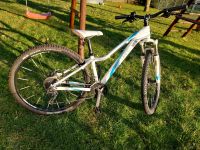 Mountainbike Damen/Mädchen Fahrrad 29 Zoll Bayern - Oettingen in Bayern Vorschau