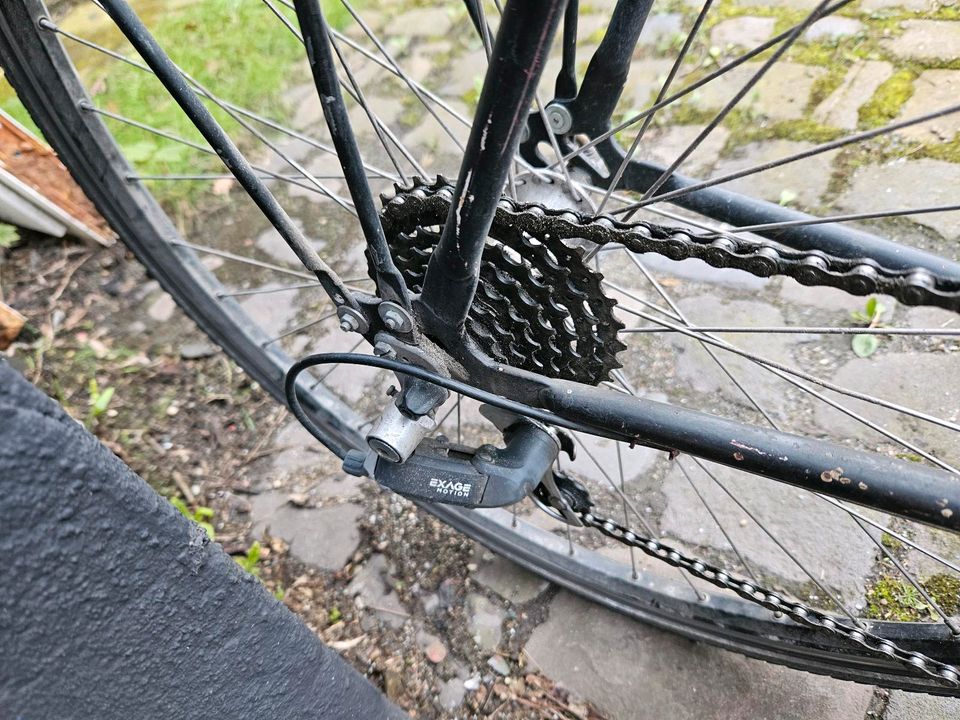 Rennrad 28 Zoll Nabendynamo Licht Gepäckträger Schutzblech in Duisburg