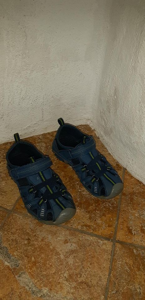 Jungen Sneaker Sketcher blau grün Größe 32 in Untermerzbach