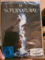 DVD Supernatural 14, neu, ovp Hessen - Michelstadt Vorschau