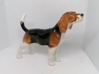 Hutschenreuther Beagle Kr. Altötting - Neuötting Vorschau