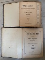 Buch Antik Der Geschichtsfreund & Das Buch für Alle v. 1900 Niedersachsen - Hambühren Vorschau