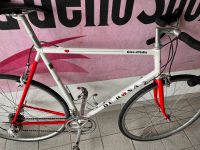 Rennrad De Rosa Stahlrahmen Hessen - Karben Vorschau