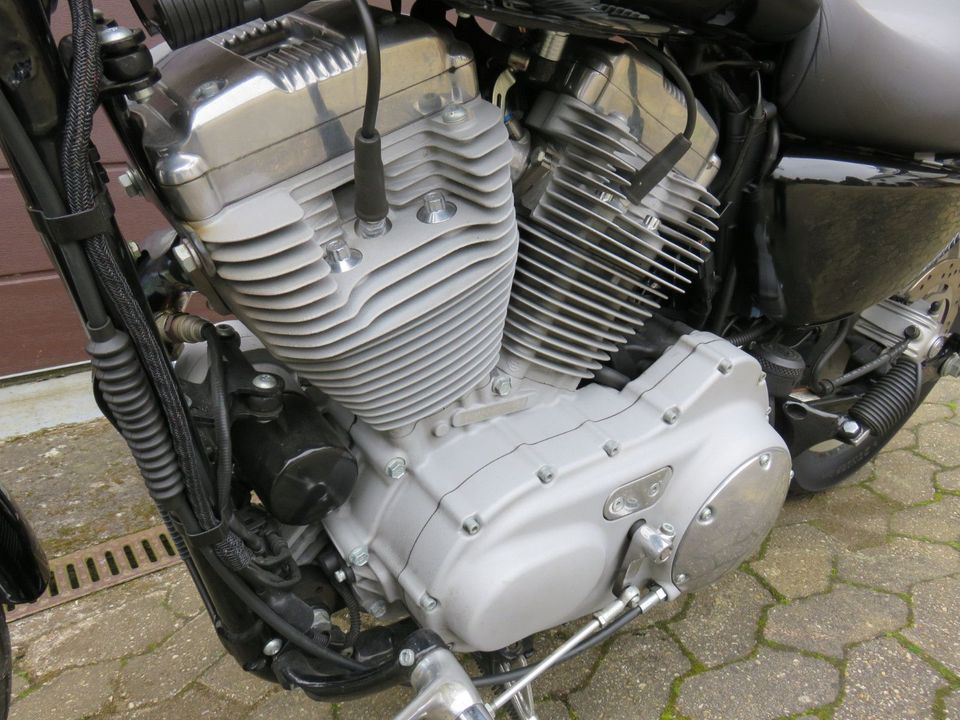 Harley-Davidson XL 883 C  TOP  REIFEN  SERVICE NEU in Ditscheid