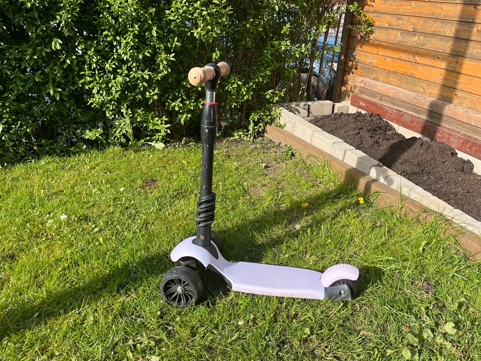 Scooter, Roller Dteirad in Bünde