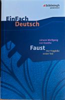 Faust, der Tragödie erstel Teil Bayern - Saaldorf-Surheim Vorschau