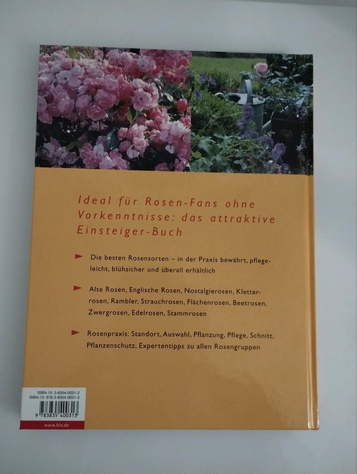 Rosen für jeden von Robert Markley Buch in Augsburg