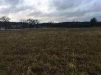 Wiesengrundstück in Bieberbach Bayern - Egloffstein Vorschau